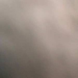 Meet your Posher, Gloria